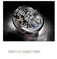 watch_anatomy
